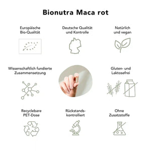 Maca rot Kapseln: bio, vegan, rueckstandskontroliert, ohne Zusatzstoffe, Gluten und Laktosefrei