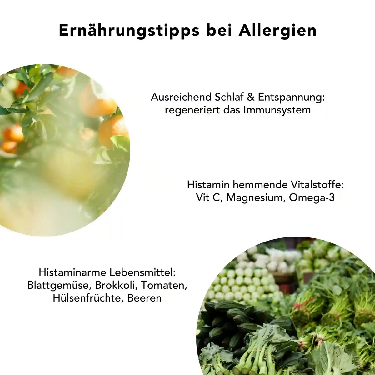 Tipps zur Allergie-Ernaehrung mit histaminarmen Lebensmitteln, Vitalstoffen wie Vitamin C und Omega-3 sowie Schlaf – kombiniert mit Schwarzkümmeloel-Kapseln als natuerliche Begleitung