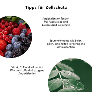 Tipps fuer Zellschutz: Antioxidantien wie Vitamine und Spurenelemente helfen gegen freie Radikale – unterstuetzt durch Moringa-Kapseln mit natuerlich enthaltenem Vitamin A, C, E und sekundaeren Pflanzenstoffen.