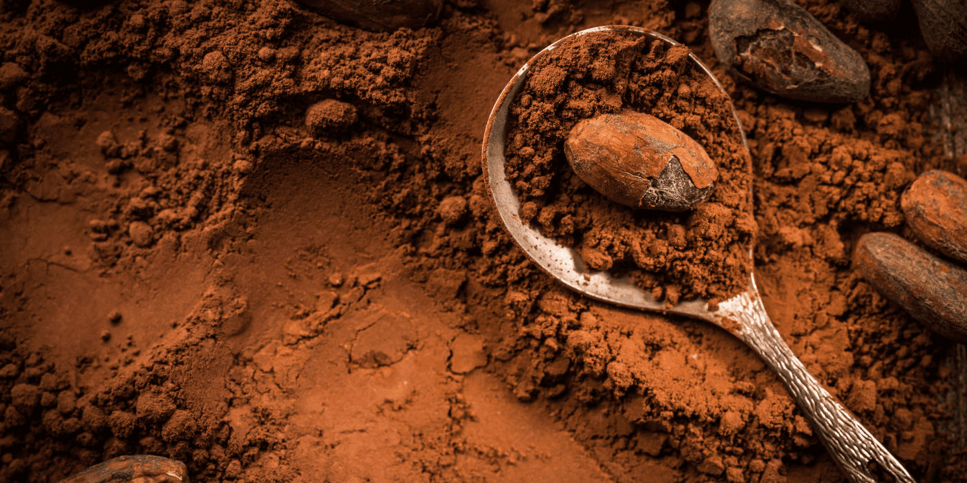 Criollo Kakao - Die edelste Kakaosorte Südamerikas
