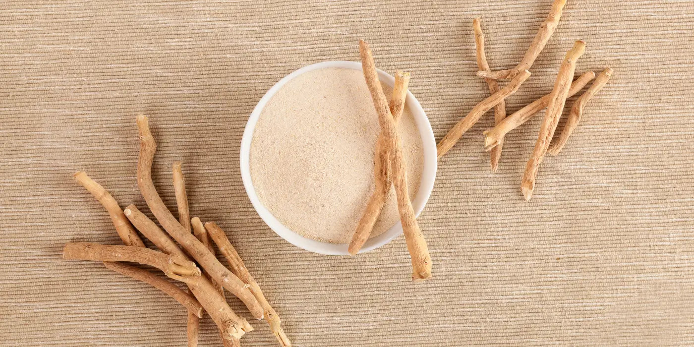 Ashwagandha und das Darmmikrobiom – Wie die Schlafbeere über den Darm wirkt