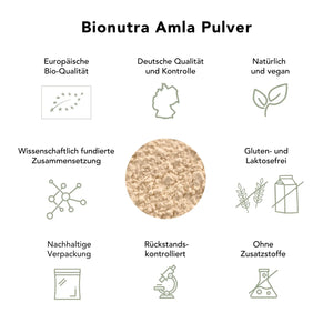 Bio_Amla_Pulver_bio_vegan_rueckstandskontroliert_ohne_Zusatzstoffe_Gluten_und_Laktosefrei