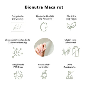 Maca rot Kapseln: bio, vegan, rueckstandskontroliert, ohne Zusatzstoffe, Gluten und Laktosefrei