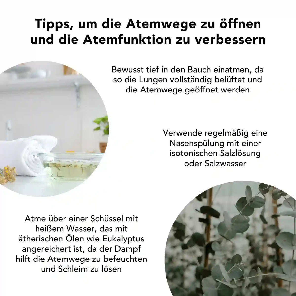 Tipps zur Unterstützung der Atemwege: Dampfinhalation mit Eukalyptusöl, Nasenspülung mit Salzlösung, tiefes Atmen in den Bauch zur besseren Belüftung der Lunge