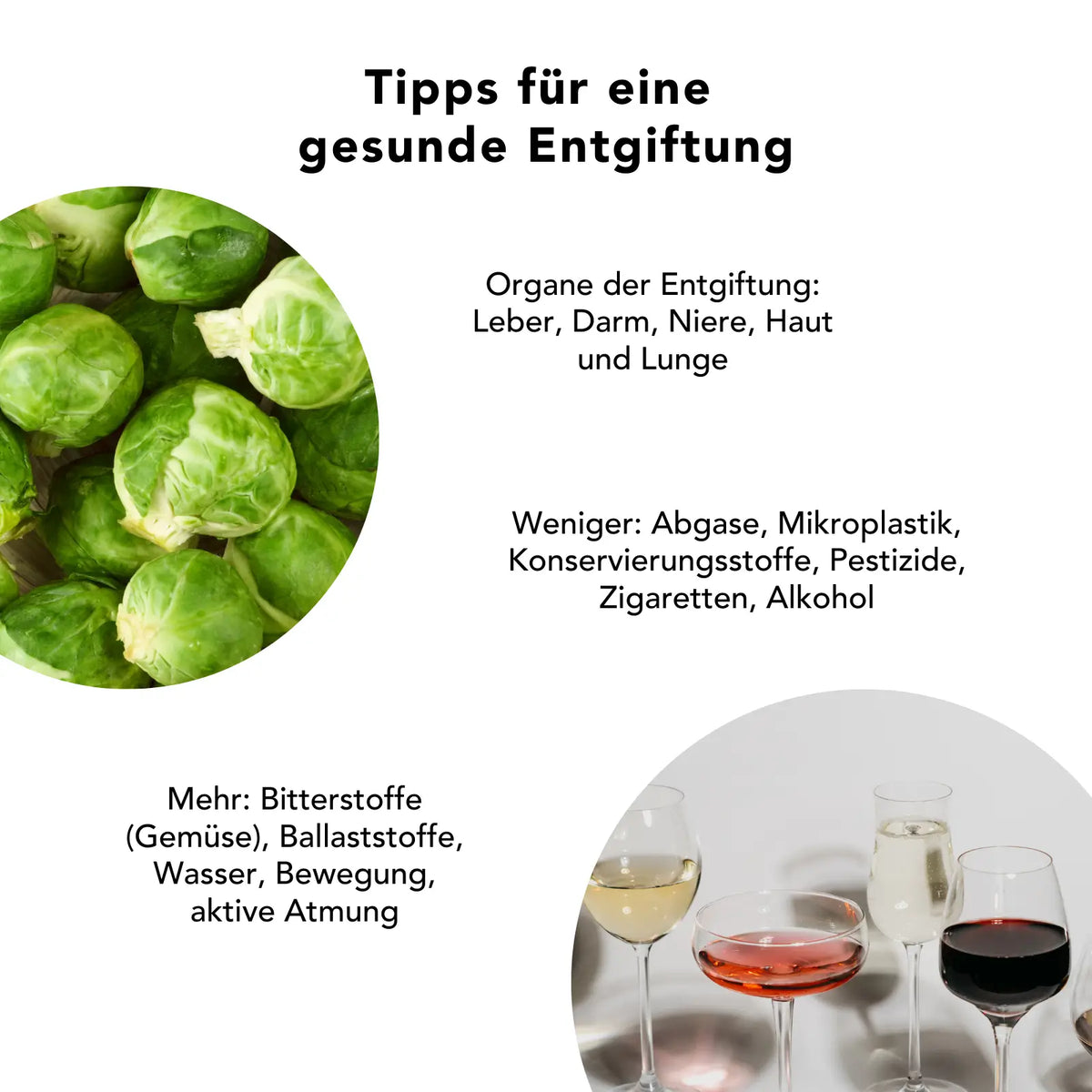 Tipps zur natürlichen Entgiftung: Chlorella Pulver unterstützt Leber, Darm und Zellschutz – mit Bitterstoffen, Ballaststoffen und aktiver Atmung zur Entlastung der Entgiftungsorgane