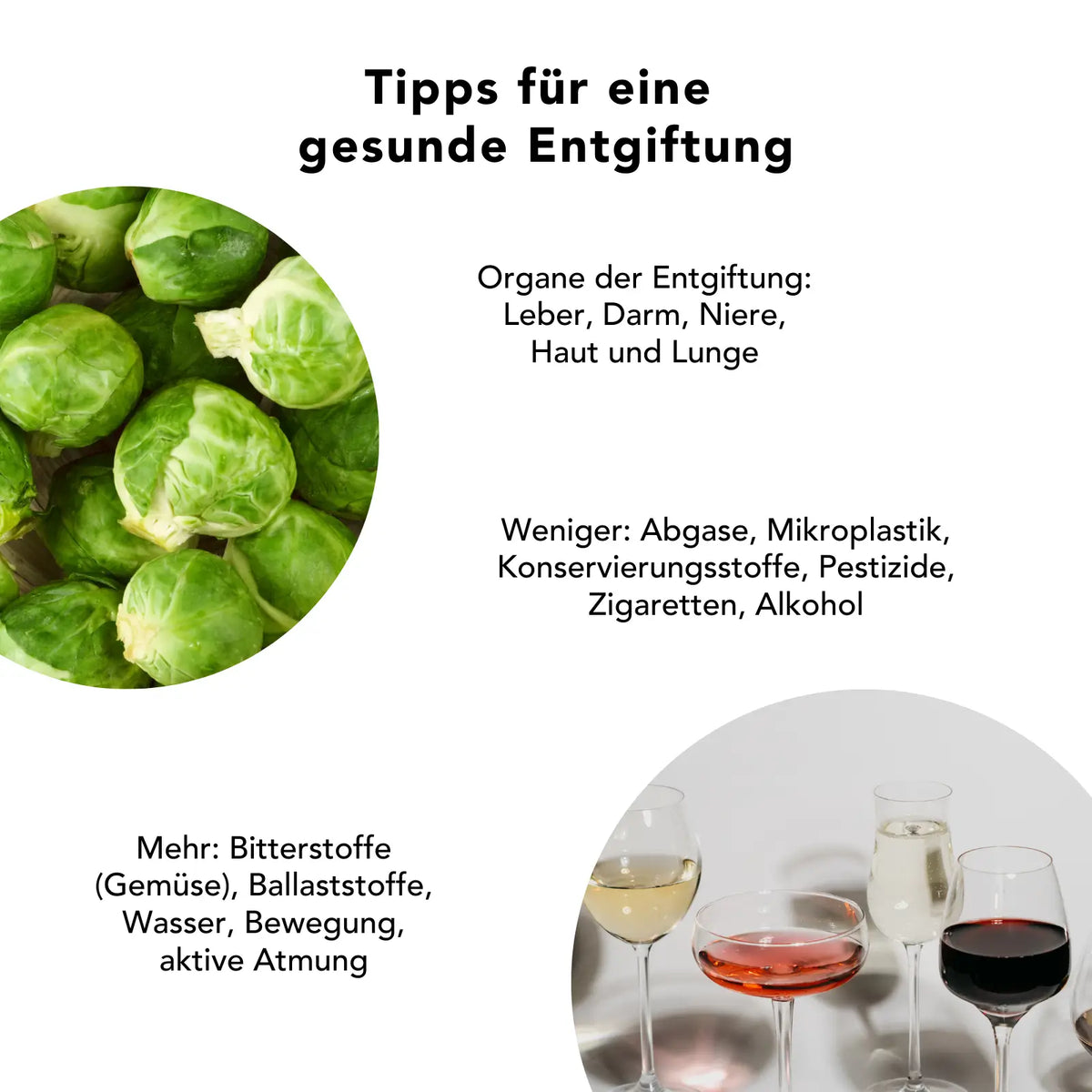 Tipps zur natürlichen Entgiftung: Chlorella Pulver unterstützt Leber, Darm und Zellschutz – mit Bitterstoffen, Ballaststoffen und aktiver Atmung zur Entlastung der Entgiftungsorgane