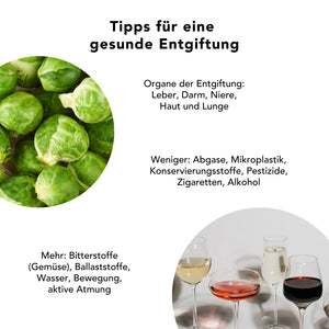 Tipps zur natürlichen Entgiftung: Chlorella Pulver unterstützt Leber, Darm und Zellschutz – mit Bitterstoffen, Ballaststoffen und aktiver Atmung zur Entlastung der Entgiftungsorgane