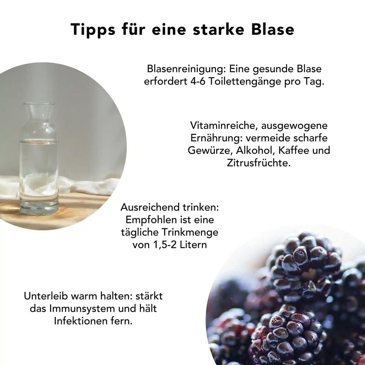 Blasengesundheit stärken: Ernährung, Wärme und pflanzliche Unterstützung durch Brennnessel