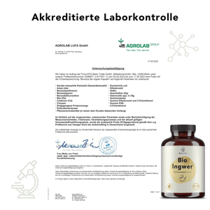 Bionutra bio Ingwer kapseln 600mg labortest