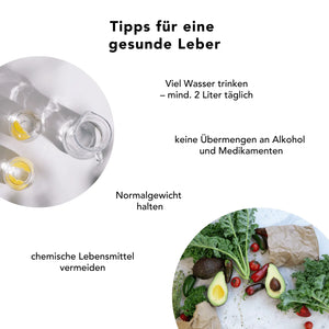 nfografik mit Alltagstipps zur Leberpflege, ergänzt im Kontext von Artischocken_Extrakt_Kapseln und ausgewogener Ernährung