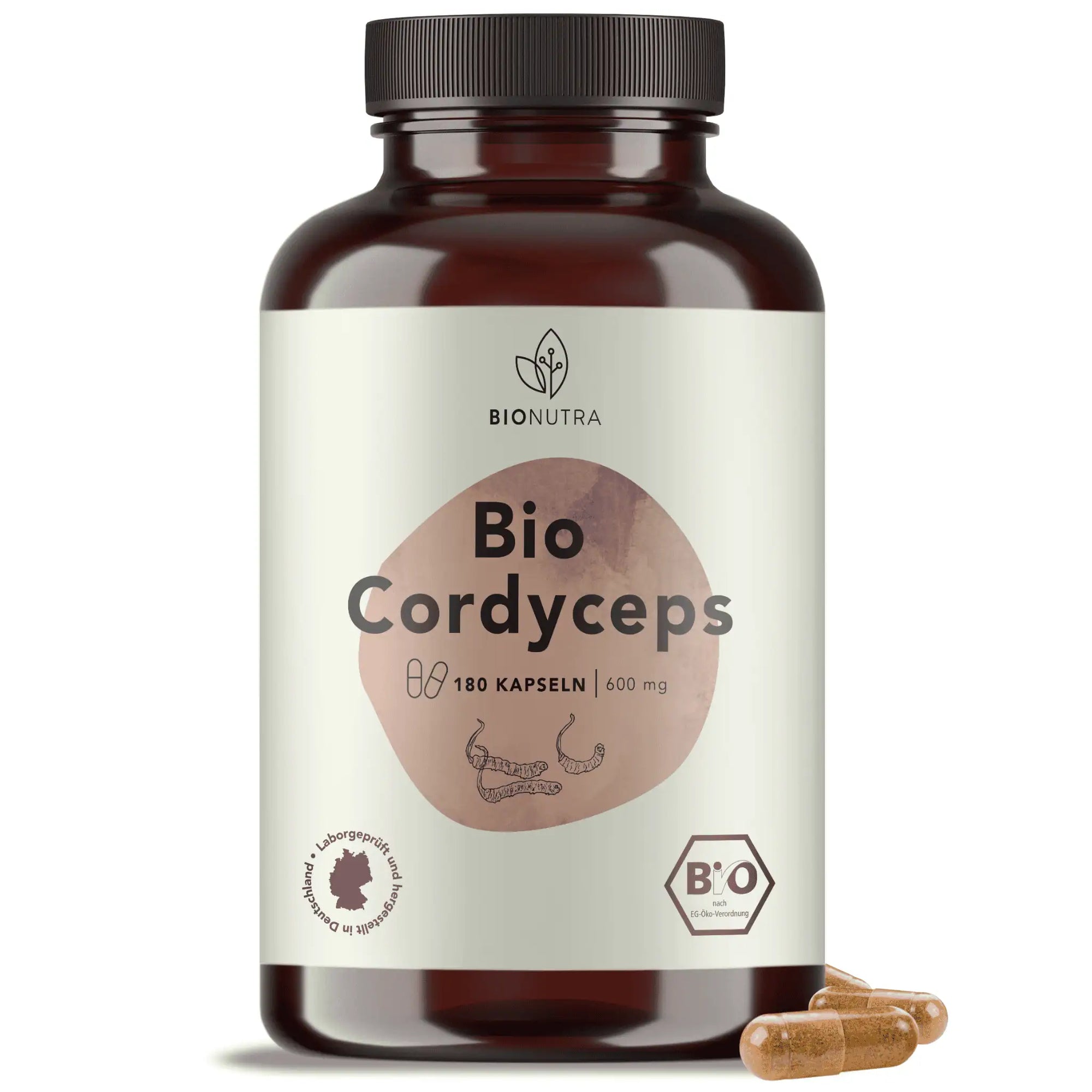 bio cordyceps kapseln, hochdosiert, 180 Stück in brauner PET-Dose, 600 mg pro Kapsel