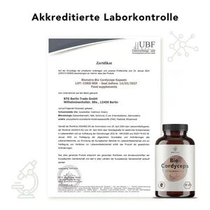 Zertifikat zur akkreditierten Laborkontrolle für Bio cordyceps Pilz Kapseln – geprüft auf Schwermetalle, Mikrobiologie und Rückstände laut EU-Richtlinien