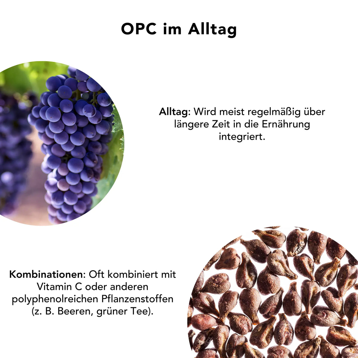 Infografik zur alltagsnahen Verwendung von OPC mit typischen Einnahmezeitpunkten und Kombinationen