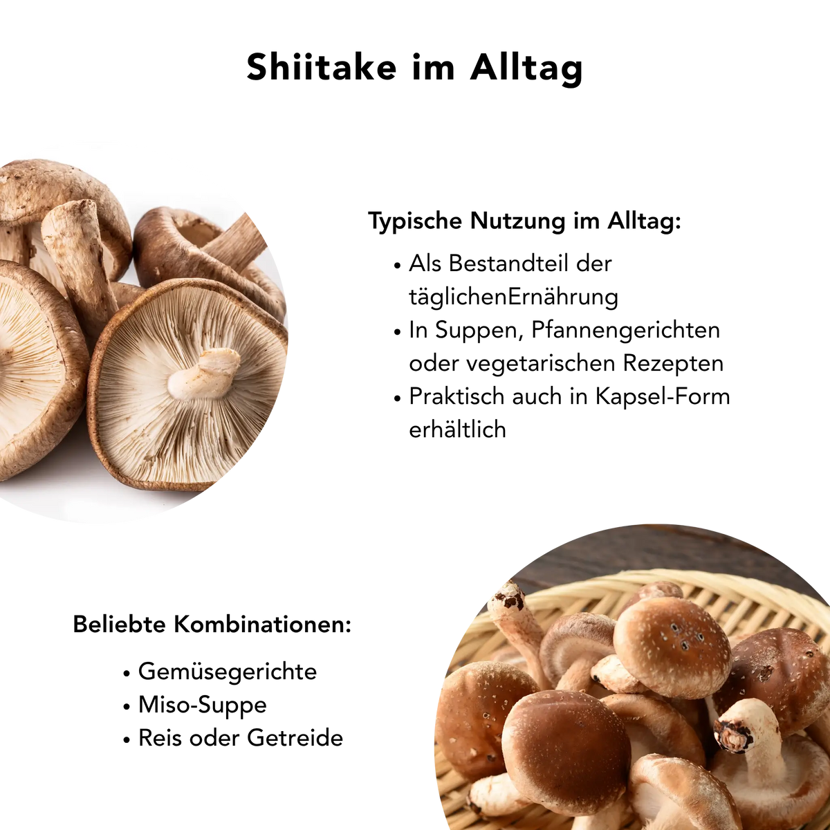 Bio Shiitake Kapseln