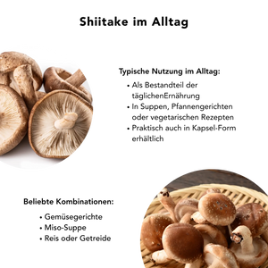 Bio Shiitake Kapseln